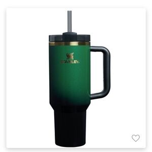 Wicked Stanley 40 oz
FlowState Quencher Tumbler Elphaba IN HAND